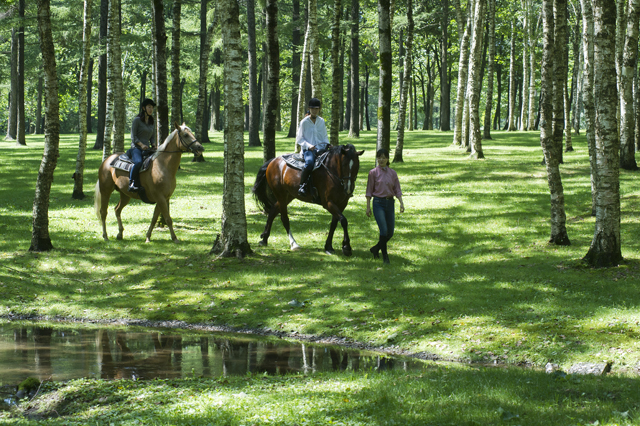 国内最大の 馬のテーマパーク ノーザンホースパーク 夏期営業スタート 株式会社ノーザンホースパークのプレスリリース