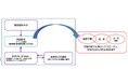 Dstyle group.が仕掛ける「骨盤革命」─医学とヨガ、そしてプロポーションづくりのダイアナ─藤田医科大学と共同研究し創生した、新発想ガードル。