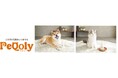 犬・猫向け総合ケアブランド「PeQoly(ペコリー)」インターペット大阪2026へ初出展！
