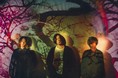 ヒトリエ ライブアルバム「Amplified Tour 2021 at OSAKA」アートワークおよびTシャツデザインを公開！