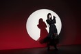 大晦日放送の「ロード・エルメロイⅡ世の事件簿」特別編主題歌をASCAが担当！新曲「君が見た夢の物語」を梶浦由記がプロデュース！