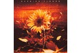 鮮烈なデビューから快進撃を続けるHANA!新曲「Burning Flower」が本日配信リリース!圧巻の迫力&パフォーマンスを魅せるMVも同日公開!