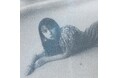 adieu (上白石萌歌)、ワンマンライブ「adieu LIVE 2025 à la plume」を9月に開催決定!