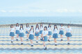 ≒JOY 新曲『ニアジョイ音頭』配信リリース!!LINE MUSIC キャンペーンも開催!