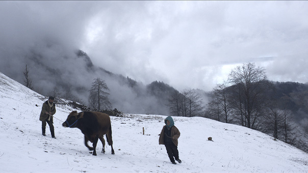 第28回東京国際映画祭 Wowow賞 受賞作 カランダールの雪 に決定 株式会社wowowのプレスリリース