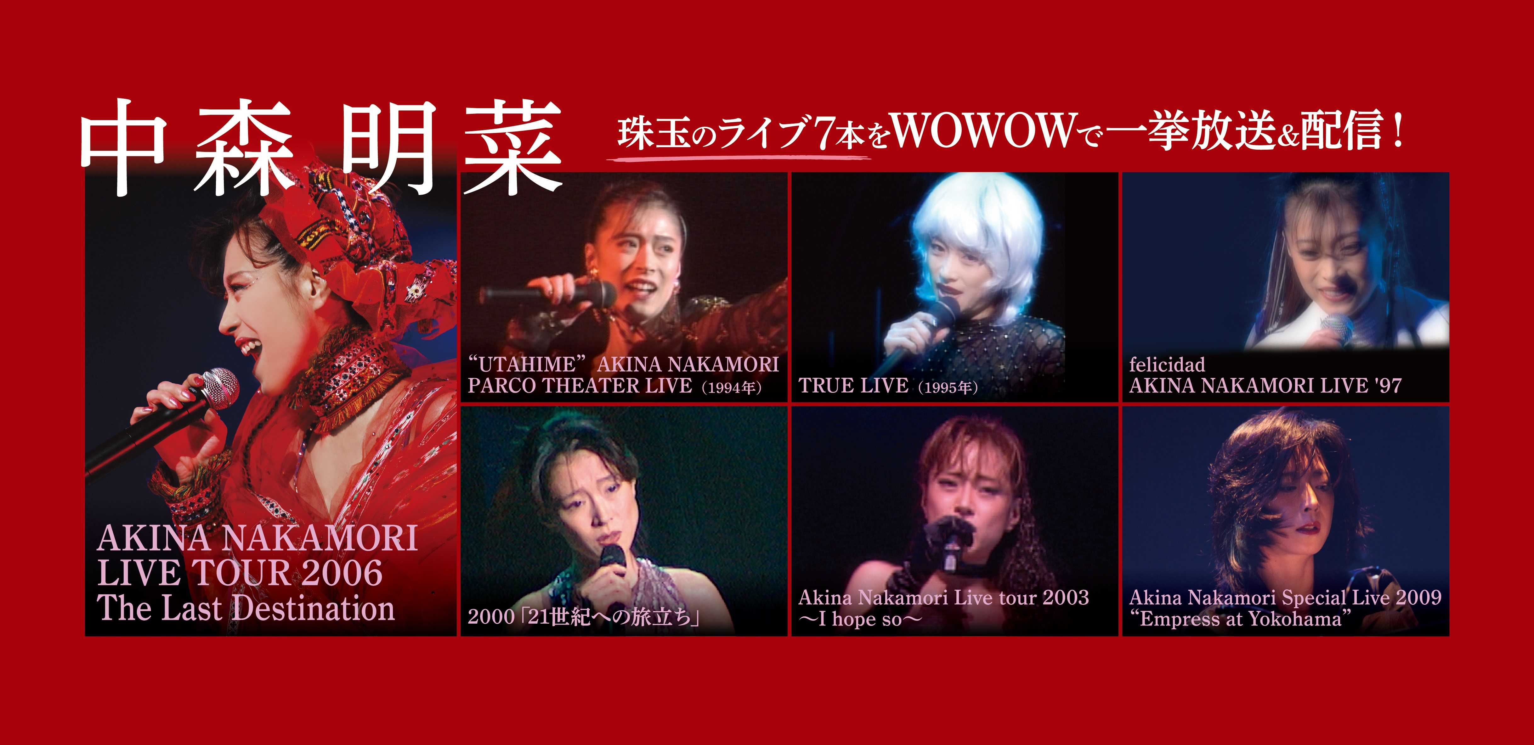 ☆正規品新品未使用品 中森明菜 AKINA NAKAMORI LIVE TOUR 2006～The