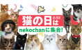 【2月22日 猫の日はnekochanに集合!】猫だけのライブ配信アプリnekochan猫の日SP企画!期間限定スタンプも登場!