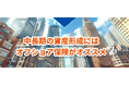 オフショア投資・保険のマイプロパティがオフショア保険と日本の主要な金融商品との比較表を公開します
