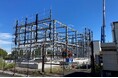 植物による有用タンパク質の大量生産技術を開発