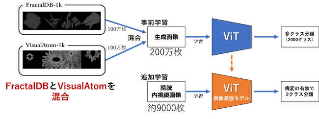 図3　生成画像による画像基盤モデルの構築と膀胱内視鏡診断支援AIの学習