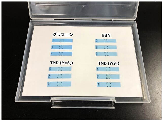 図9　二次元材料のUVテープのライブラリー グラフェンなどの二次元材料のサイズは10mm