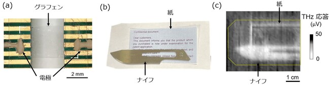 図8　UVテープ転写したグラフェンのテラヘルツのセンサー応用 （a）プラスチック上の単層グラフェンのセンサー（b）封筒に入れる前のナイフと紙片（c）グラフェンを用いて検出した、封筒の中のナイフと紙片