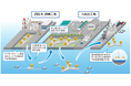 グリーンイノベーション基金事業で日立造船、鹿島建設が洋上風力発電、浮体式基礎の量産化技術を開発