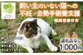 【福岡県春日市】飼い主のいない猫の命と地域での幸せな暮らしを守るため、ふるさと納税による寄附募集を開始