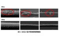 魚肉ペプチドの摂取による犬の食いつき、毛並み改善とストレス軽減効果を確認