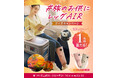 “脚、軽々~♪”秋の行楽シーズン『#旅のお供にレッグAIR クイズキャンペーン』開催!