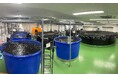 【導入事例】本社ビルを改修してチョウザメの養殖設備を導入
