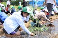 カスミ　8月21日「イオン チアーズクラブ カスミつくば」トマト収穫体験・カゴメ工場見学実施のお知らせ