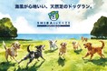海風が心地いい、天然芝のドッグラン「SHIBA to KAZE Pacifico Dog Park」