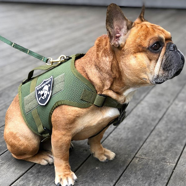 M1 Tactical Dog Harness Mesh Body