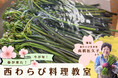旬の「西わらび」料理教室　5月16日に北上市で開催
