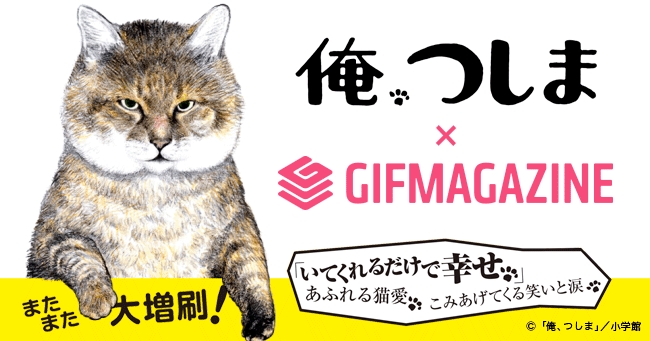 Gifmagazineが大ブレイクの猫マンガ 俺 つしま の公式チャンネルをオープン 株式会社gifmagazineのプレスリリース