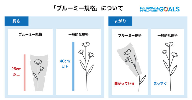 物流2024年問題