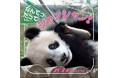 【祝！返還期限延期】上野動物園のパンダ・シャンシャンのカレンダーが発売中！４年間のベストショットを集めた永久保存版、ぜひお手元にいかがですか？