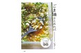 ごま油で絶品おかず!毎日使えるレシピ集 『ごま油さえあれば さっぱりもコク旨も、いつもの家ごはん98』著・沼津りえ 1月16日発売!