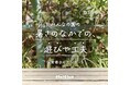 保育施設における夏場の変化や過ごし方の工夫<小学館 保育者向けメディア「HoiClue」調査レポート>