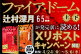 辻村深月『ファイア・ドーム』が発売前に“全編”読める！Xリポストキャンペーン開催！