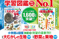 学習図鑑売上No.1の「小学館の図鑑NEO」から最新刊『大むかしの生物』『野菜と果物』2冊同時発売！