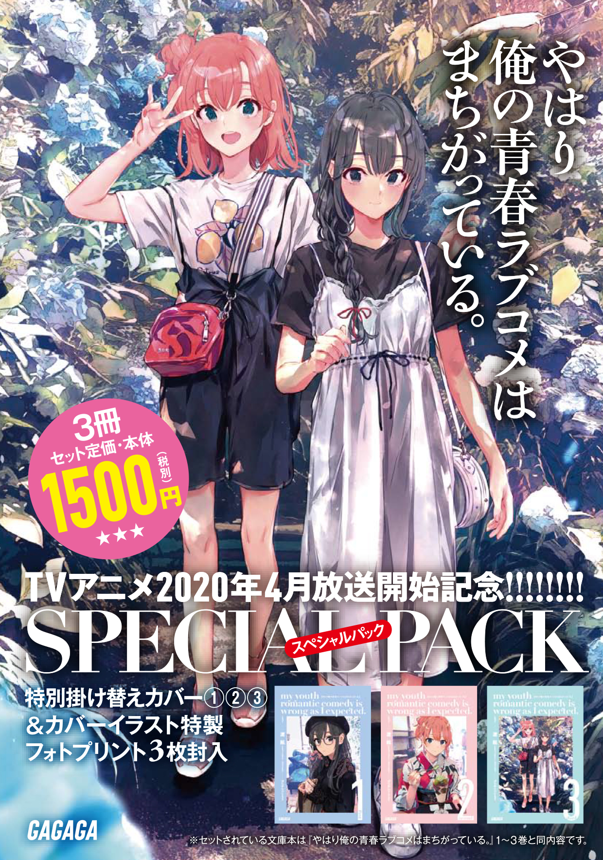 文学・小説やはり俺の青春ラブコメはまちがっている 特典小説 新