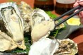 手のひらサイズの特大生牡蠣!北海道・厚岸直送『生牡蠣食べ比べセット』を期間限定で提供開始!「北海道海鮮 にほんいち 福島店」