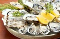 堺筋本町に「牡蠣と海鮮」専門店が誕生。厚岸牡蠣をはじめ、時期ごとに異なる牡蠣が届く新店が2月17日オープン｜牡蠣と海鮮 にほんいち 堺筋本町店