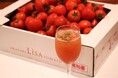 【トマトの概念が変わる】糖度8％越え！高知県産“LiSAフルーツトマト”を使用した限定ドリンクが新登場｜北海道海鮮 にほんいち 本町店