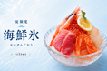 猛暑日に食べたい“かき氷”は甘くない。豪華5種の海鮮を盛り付けた夏限定「海鮮氷」が新登場｜牡蠣と海鮮 にほんいち 堺筋本町店