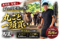 鹿児島・知覧で32ヶ月肥育した馬を丸ごと一頭買い！馬肉専門店「馬王」でレバーやハツなど希少部位も提供｜大衆馬肉酒場 馬王