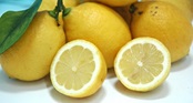 江田島産レモン