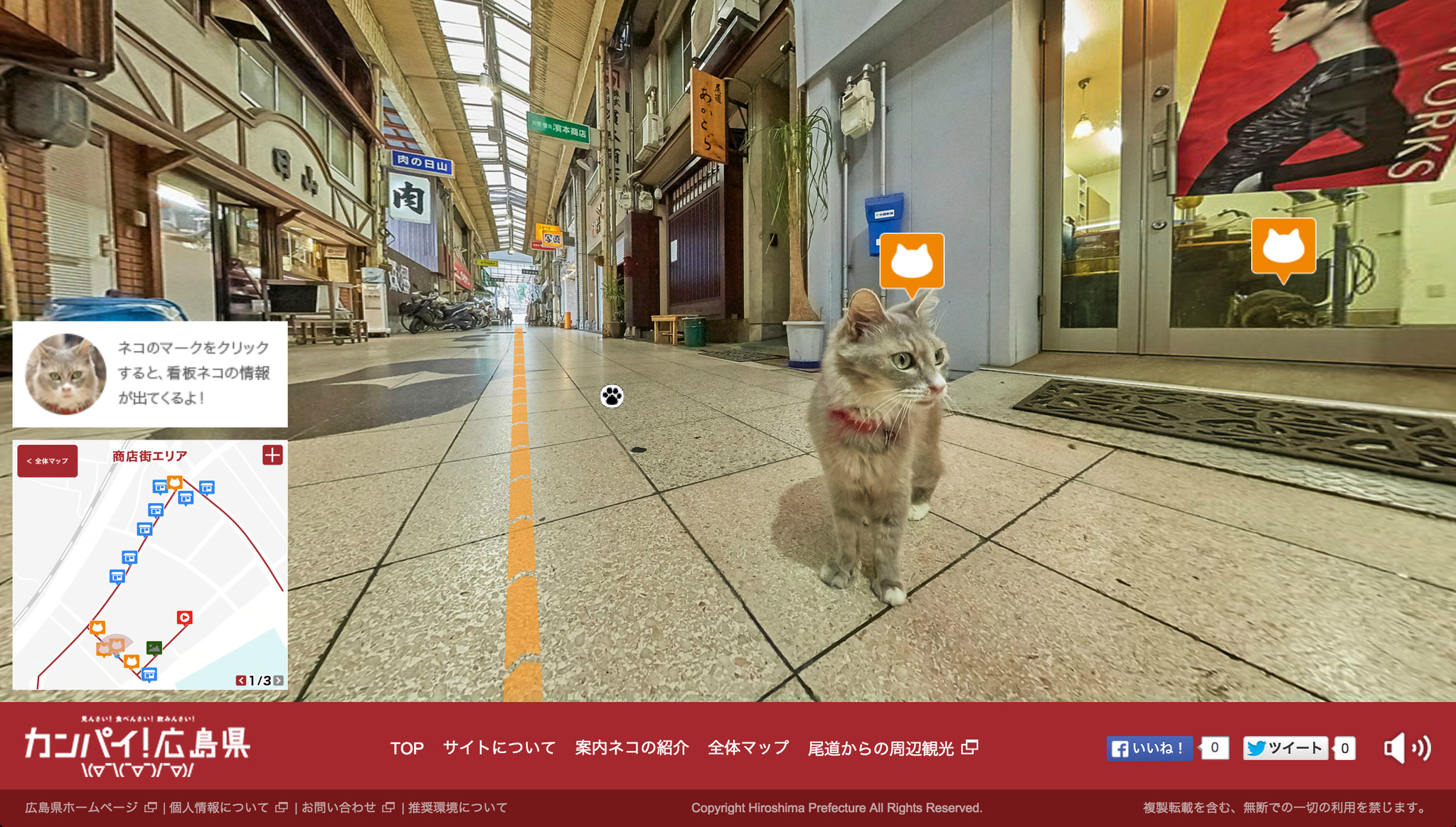 世界初 ネコの目線で街を探索できる観光ガイド 広島cat Street View尾道編 9 1公開 広島県のプレスリリース