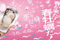 過去最大！広島県内179店舗の飲食店＆スーパーで広島県産牡蠣が食べ頃「ひろしま春の牡蠣まつり」が今年もスタート