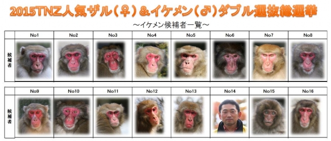 高崎山自然動物園人気サル投票