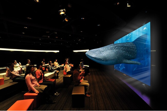 ３D Okinawa Churaumi Aquarium