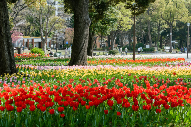 横浜公園（過去の様子）