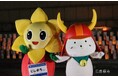 「ひこにゃん」がみなとみらいに出陣!やさしいキャンドルの灯りで横浜の夜を彩ります!「西区キャンドルアート2024」