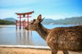 62名の外交官の視点で日本を捉えた「にっぽん―大使たちの視線2024」写真展が2/5から横浜赤レンガ倉庫で開催