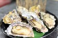 新鮮な市場の食材を使用したグルメが大集合!横浜市場場外マルシェ春の味覚フェス2025が開催!