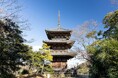 本牧の丘から横浜の街を見守る 三溪園のシンボル「重要文化財旧燈明寺三重塔」保存プロジェクト始動!(7月10日~)