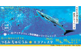 【毎年大好評！横浜で沖縄の海を体験】2025年10月4日（土）、5（日）に「つるみ・ちゅらうみ エコフェスタ2025」を開催します！