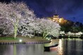 横浜・三溪園　「桜ライトアップ」開催